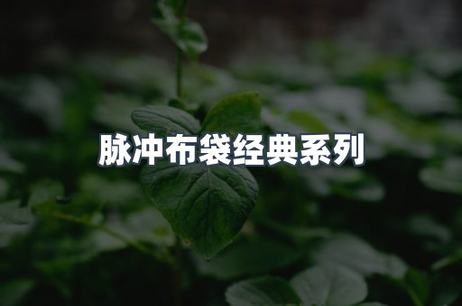 脉冲布袋经典系列